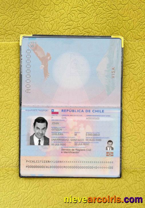 Chile passport photolook